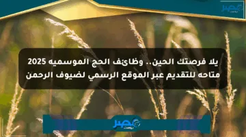 يلا فرصتك الحين.. وظائف الحج الموسمية 2025 متاحة للتقديم عبر الموقع الرسمي لضيوف الرحمن